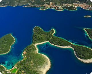 dalmatia